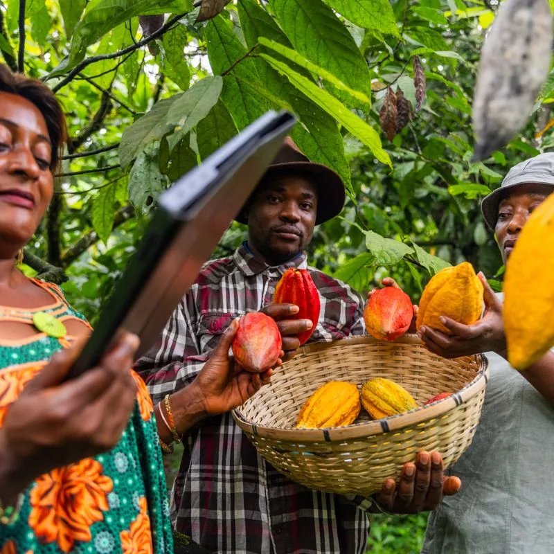 kowshaj%20Farms%20Resources%20LTD