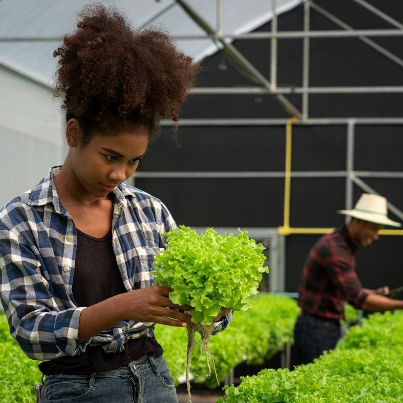 kowshaj%20Farms%20Resources%20LTD